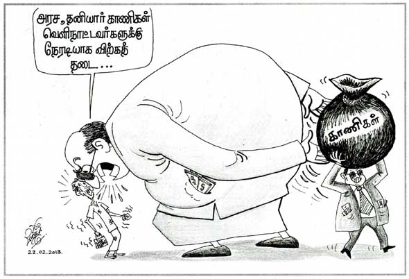 Thinakkural 22.02.2013