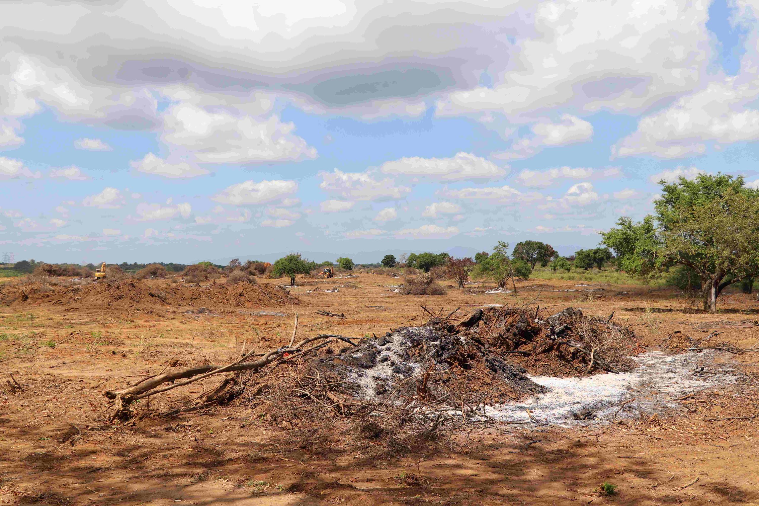 සූර්ය බලශක්ති සමාගම් අල්ලස් ලබා දී හම්බන්තොට අලි නිජබිම් වනසයි